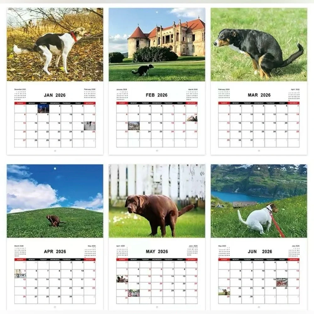 2026 Dog Calendar - Dogs Pooping in Beautiful Places